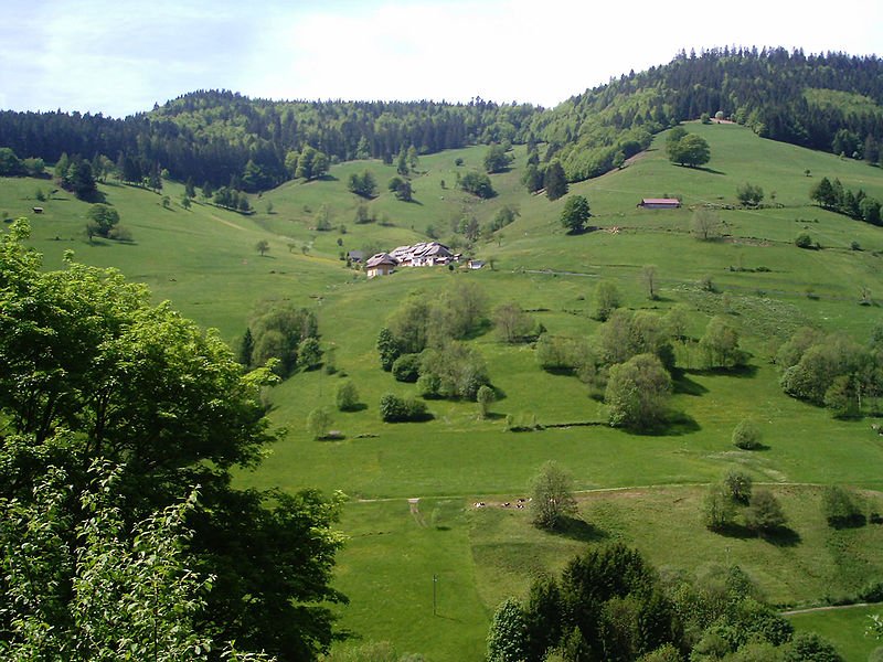 800px-Schwarzwald_1