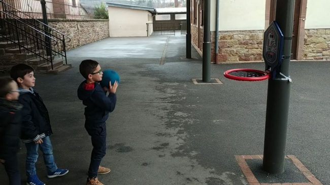 basket