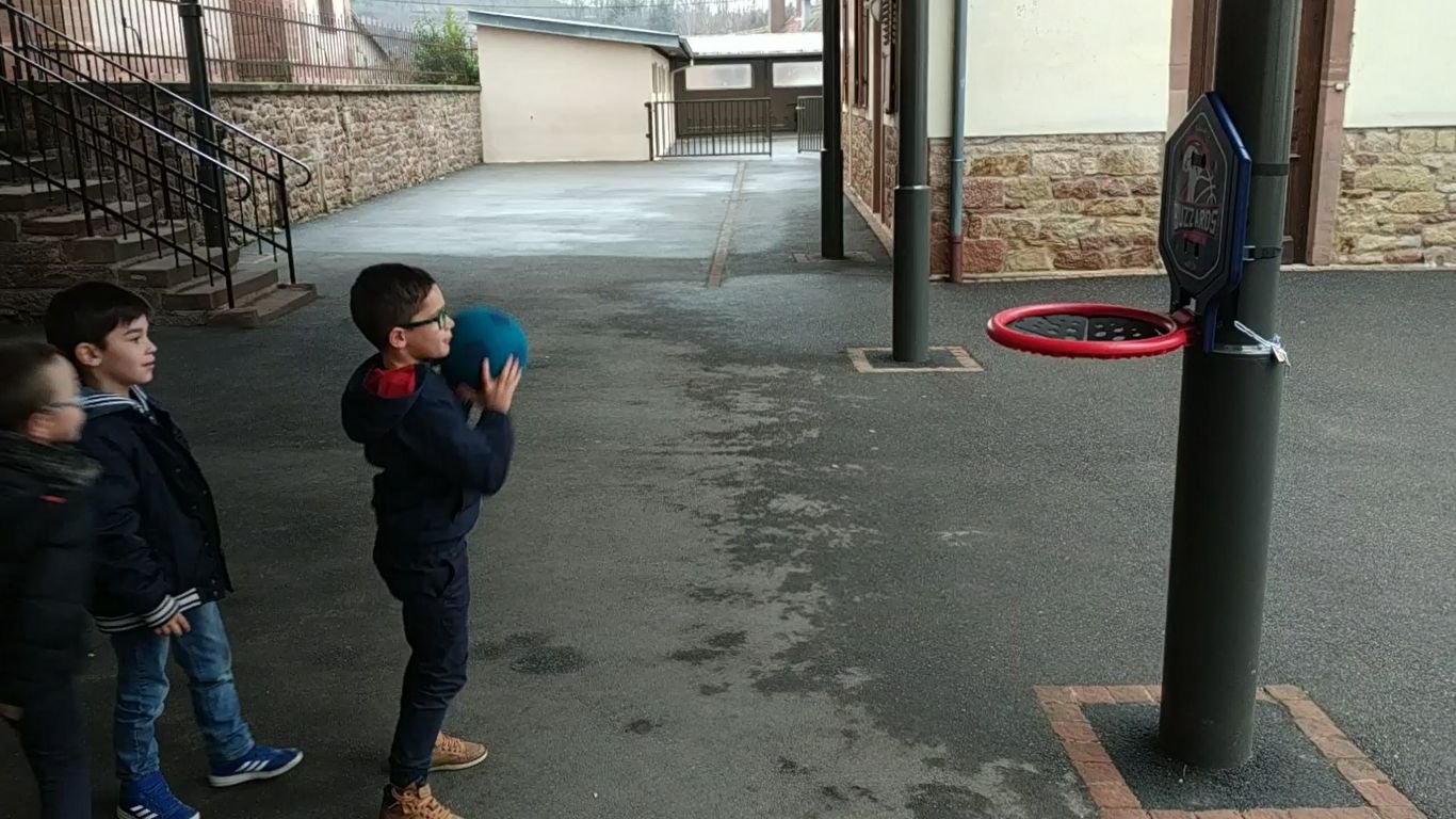 basket