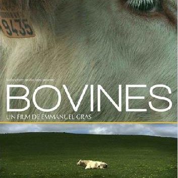 Bovines-ou-la-vraie-vie-des-vaches-Documentaire