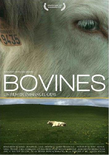 Bovines-ou-la-vraie-vie-des-vaches-Documentaire