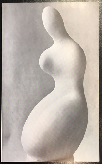 pasted image 0