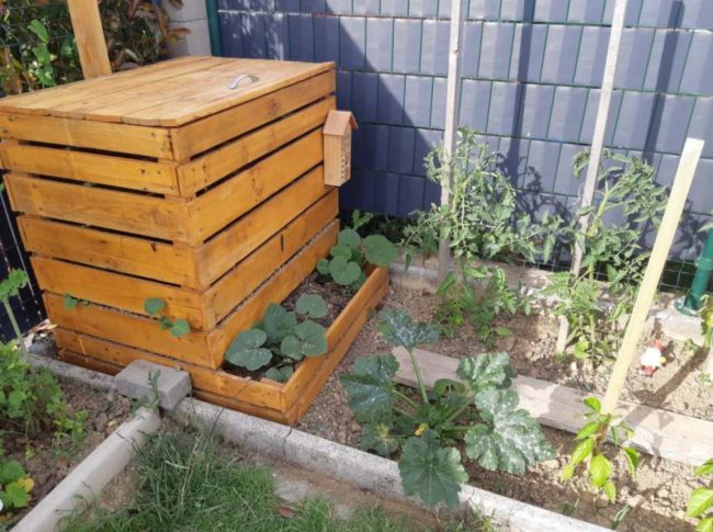 potager