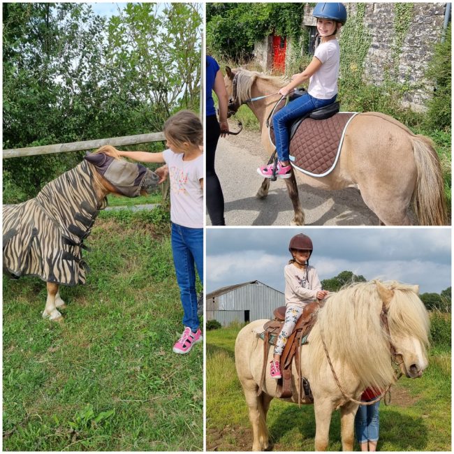 lola-cheval